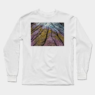 Colorful Clay Beds Long Sleeve T-Shirt